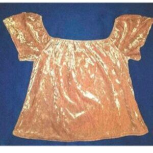 Juniors Top  New without tags  Pink velvet like  Size medium  From FOREVER 21